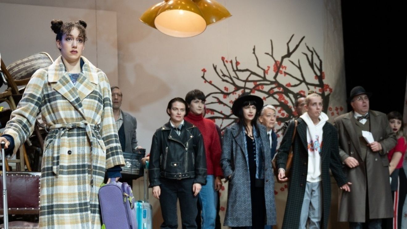 O actriţă de la Teatrul German din Timişoara a fost rănită pe scenă, după ce un decor s-a prăbuşit peste ea în timpul unui spectacol/ Actrița a ajuns la spital