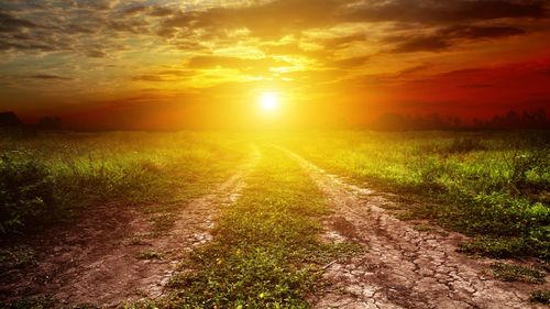 Peste o jumătate de milion de oameni mor anual din cauza expunerii la căldură / Schimbările climatice au impact devastator asupra sănătăţii umane - studiu