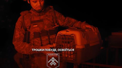 Soldații ucraineni folosesc un robot militar pentru a salva o pisică de pe linia frontului: „A luptat alături de noi și acum merită o viață liniștită” (VIDEO)