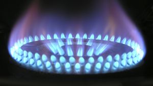 Ministrul Energiei din Moldova: Nu vom îngheța fără gazul rusesc / În Transnistria se plătește 1 leu pentru un metru cub de gaz: ”Puneți-i astăzi să plătească 18 lei sau 10 lei”