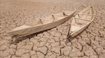 Presa din Bulgaria:  România și Grecia, printre statele afectate de seceta adusă de schimbările climatice / ”Căldura extremă preia controlul ca principal factor al secetei pe continentul nostru”