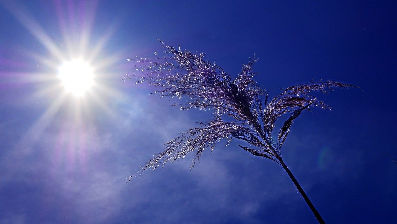 ONU: Fenomenul meteorologic El Nino va avea o intensitate „cel puţin moderată”