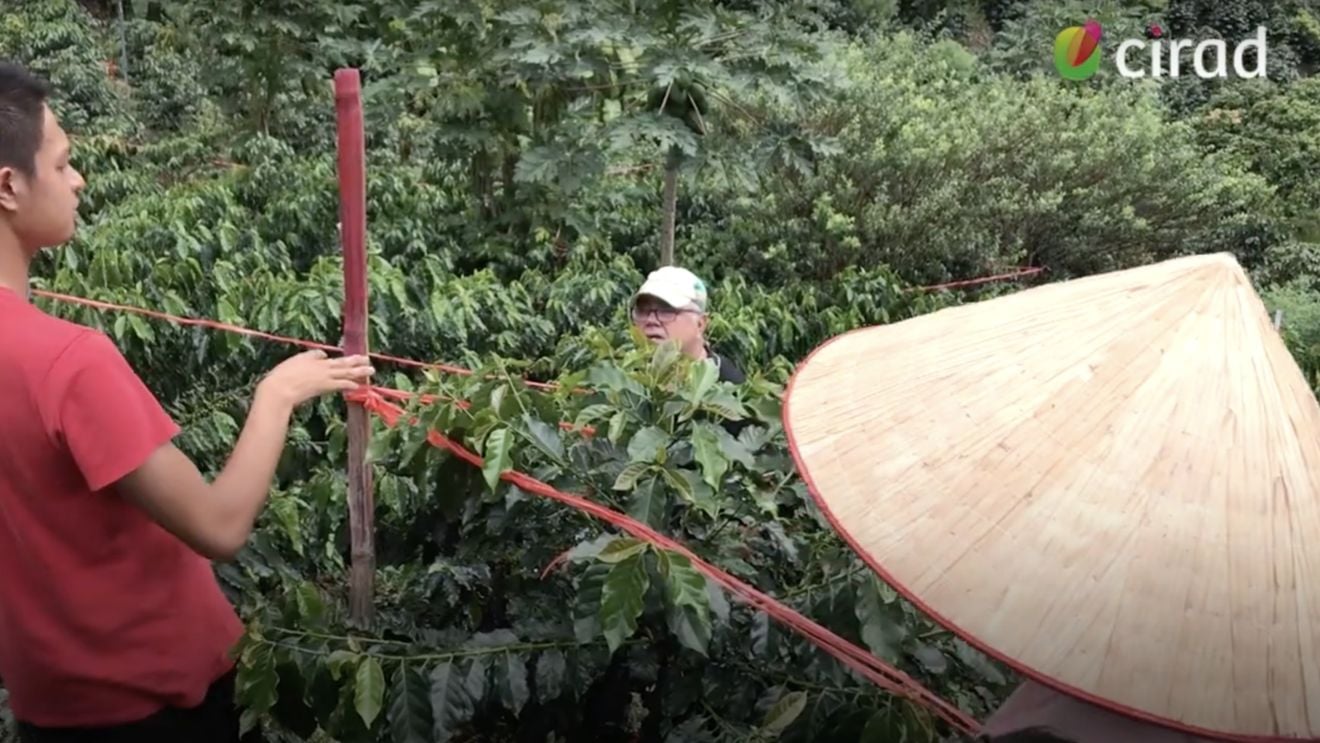 Fermierii dintr-un sat vietnamez, strămutați și despăgubiți infim cu orez și câteva mii de dolari,  pentru a face loc unui club de golf luxos al lui Trump