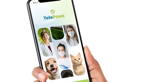 EXCLUSIV: TelePaws lansează în România primul produs de asigurare integrată pentru animale și se extinde în Italia. INTERVIU cu Dr. Ștefan Vâju, CEO & cofondator