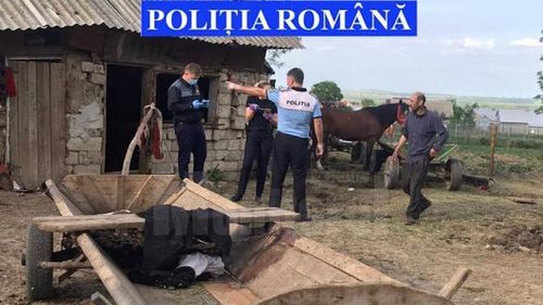 Sucevean, condamnat la închisoare după ce a maltratat un cal și a condus băut o mașină neînmatriculată / A început să fie cercetat după ce a fost filmat pe ascuns de un copil