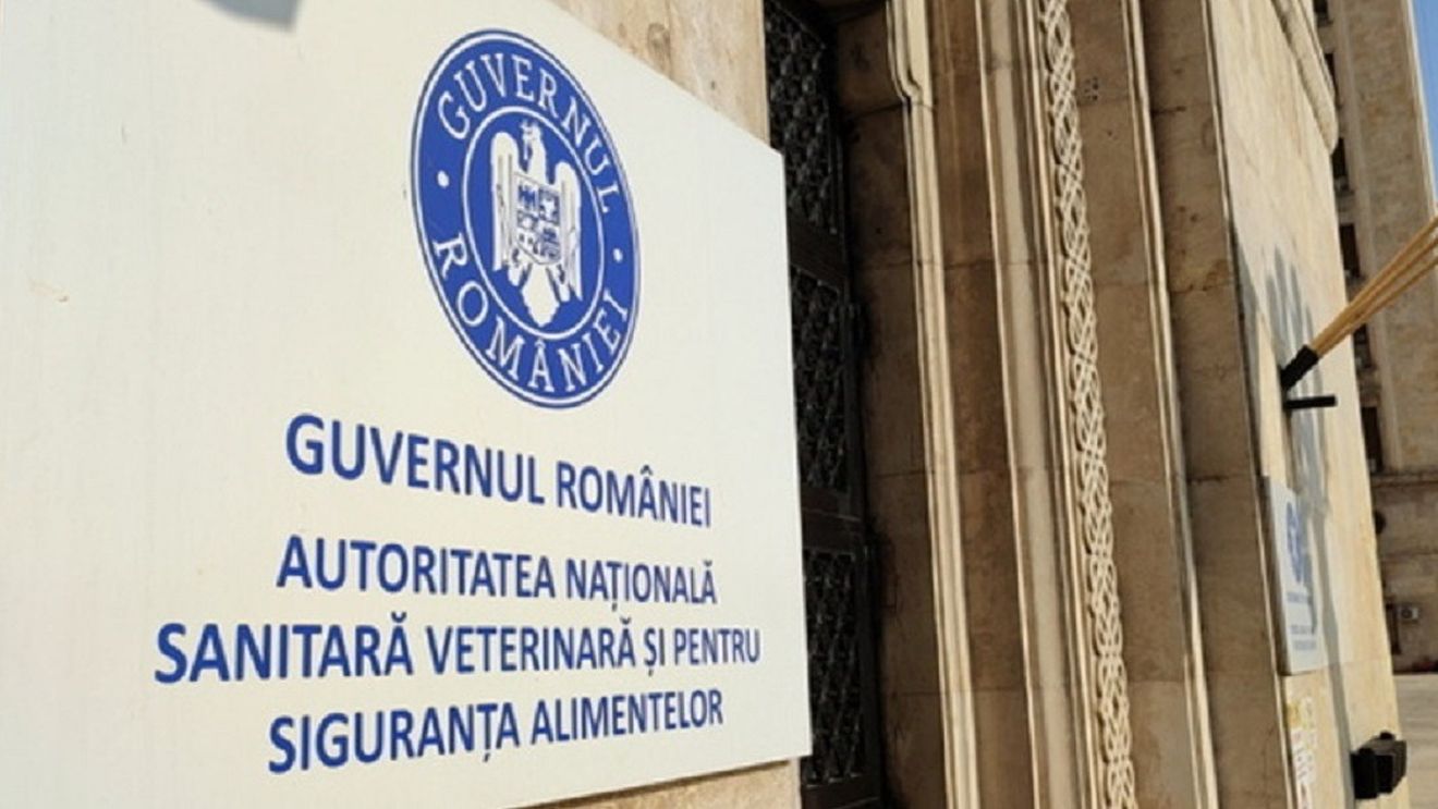 ANSVSA va intensifica controalele la adăposturile pentru câinii fără stăpân şi cere un program naţional de sterilizare în masă