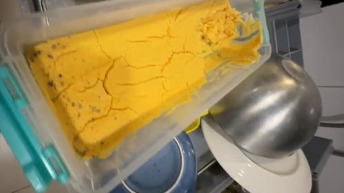 ISE: Un cunoscut restaurant grecesc din Constanța a fost închis și amendat de Protecția Consumatorilor, din cauza gândacilor și a mizeriei