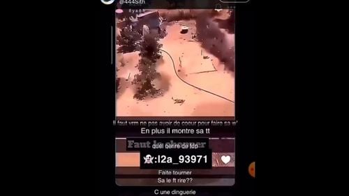 Anchetă în Franța, după ce pe rețelele sociale a fost publicată o înregistrare video cu un adolescent care aruncă un câine pe fereastră