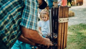 Festivalul ”Vin conservele de iarnă!”, în week-end, în Muzeul Astra din Sibiu / Degustare de vin și sfaturi pentru pregătirea conservelor de iarnă