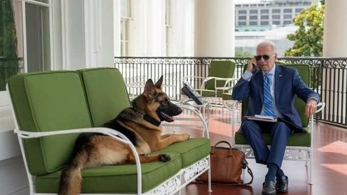 Unul dintre câinii lui Biden a provocat mai multe incidente la Casa Albă. Un agent al Secret Service chiar a ajuns la spital
