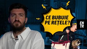 Haaland Viking, McGregor eliminat în 69 de secunde și pisici în București/ Ce bubuie pe rețele ep 31