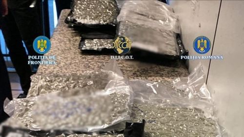 FOTO Albanez prins cu 22 de kilograme de canabis într-un troler, pe care l-a introdus în România cu avionul, pe ruta Atena-București / Bărbatul a fost reținut de DIICOT