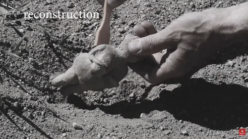 Un artefact descoperit întâmplător într-o fermă din Polonia s-a dovedit a fi o figurină Venus veche de 6.000 de ani