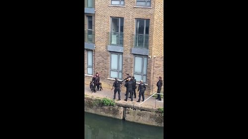 Poliția metropolitană din Londra a împușcat mortal doi câini agresivi și l-a electrocutat pe stăpân, după ce o femeie a fost mutilată într-un atac pe stradă în capitala britanică