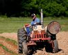 Dispare ”agricultură mică” în Bihor / Peste o mie de persoane nu au mai cerut subvenţii APIA anul acesta / „Nu a mai venit bace Petre cu un hectar de teren pentru subvenţie, pentru că l-a dat la nepot să-l lucreze sau în arendă”