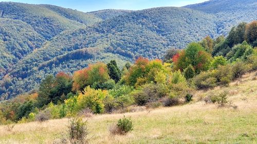 România, inclusă de CNN printre cele mai bune locuri de vizitat în 2025. Cum este descrisă destinaţia considerată „un dar” în aceste zile de supra-turism