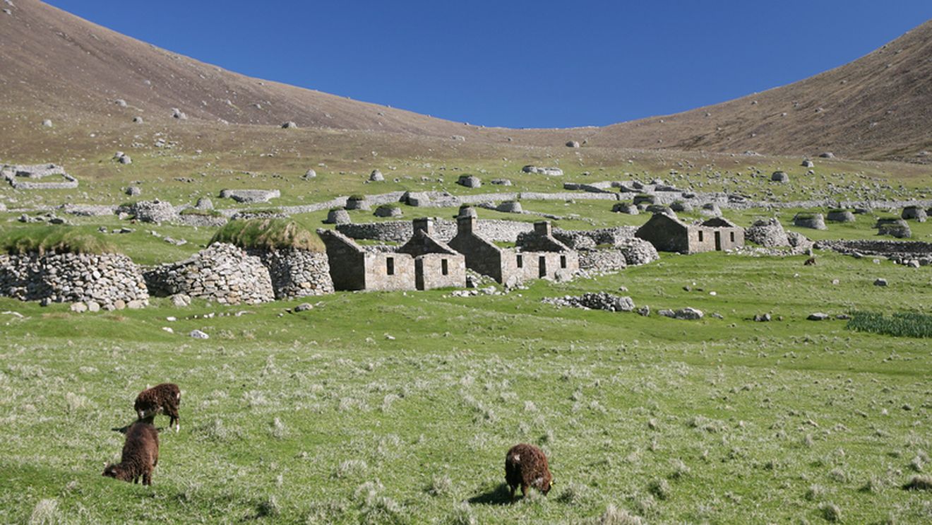 Un arhipelag abandonat de oameni în urmă cu 90 de ani a devenit un paradis al drumeților