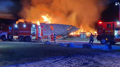 De la ce a pornit incendiul de la Ferma Dacilor: procurorii merg pe ipoteza unui televizor care a luat foc. Scenariul focului pus intenționat este ”puțin probabil”