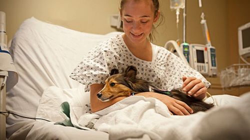 Lecție de empatie: Spitalul care permite animalelor de companie să-și viziteze stăpânii bolnavi / A construit un pavilion special pentru câini și pisici