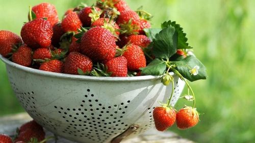 Patiserii francezi au realizat un tort de căpşuni lung de aproape 122 de metri, despre care spun că este cel mai lung din lume realizat vreodată