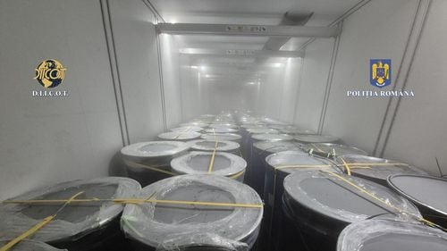 Captură record de cocaină în Portul Constanța / Drogurile erau ascunse în 16 tone de pulpă de fructe congelată