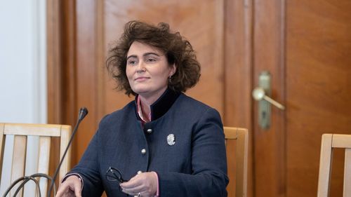 Iulia Scântei (PNL), votată de Senat judecător la Curtea Constituțională