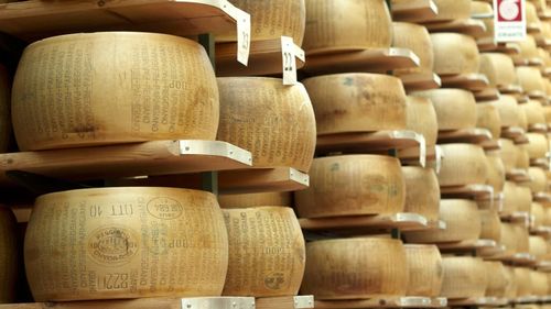 Canicula amenință producția de Parmigiano Reggiano, unul dintre simbolurile Italiei / Temperaturile de peste 40 de grade reduc cantitatea de lapte și cresc costurile unei industrii de 4,5 miliarde de euro