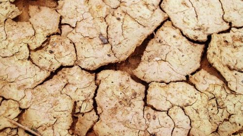 Cum luptă guvernul Ciucă cu seceta? Se face un "comitet interministerial" pentru a identifica măsuri