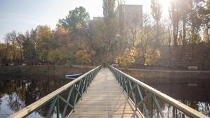 Reţeaua pentru Natură Urbană cere PSD şi PNL să respingă amendamentele la Legea spaţiilor verzi, prin care se dă posibilitatea de a construi pe spaţii verzi private şi retrocedate