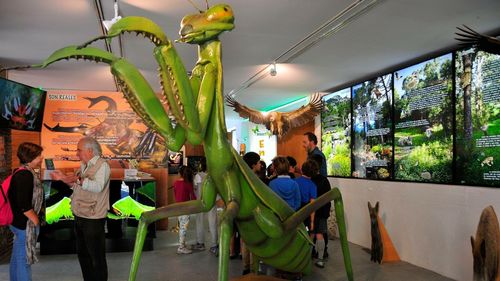 Un parc cu figurine gigantice, ce reproduc insecte de la noi din ţară, se amenajează lângă Odorheiu Secuiesc / Va avea rolul de a-i împrieteni pe copii cu lumea insectelor 