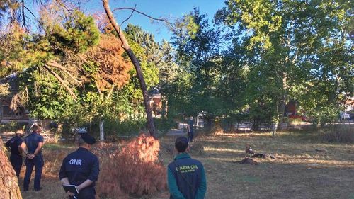 Poliția din Spania a confiscat una dintre cele mai mari cantităţi de animale împăiate găsită în Europa