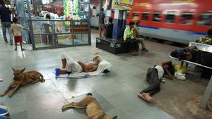 Orașul din India care a fost de șapte ori cel mai fierbinte loc de pe planetă / Cum se adaptează locuitorii la temperaturi extreme?