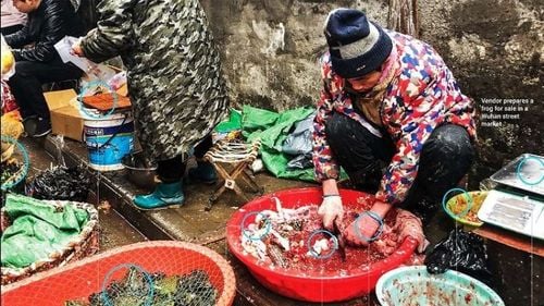 OMS cere Beijingului "acces deplin" pentru a determina originea Covid-19