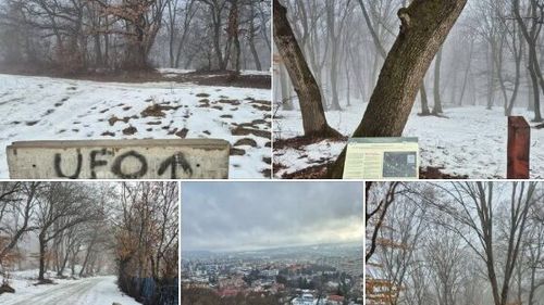 Activiștii clujeni cer să fie restricționat traficul auto spre pădurea Hoia și măsuri concrete pentru protejarea acestui spațiu forestier