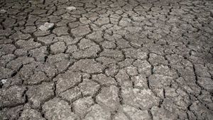 Secetă în Dobrogea, pe suprafeţe extinse din Moldova şi în unele zone din Muntenia şi Banat / ”Aprovizionarea cu apă a solului se va situa în limite satisfăcătoare până la apropiate de optim şi optime în Maramureş, Crişana, Banat, Transilvania şi Oltenia”