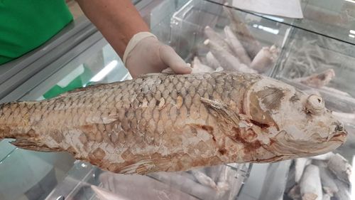 Mari nereguli găsite la peştele de import, în hypermarket-urile din zona Bucureşti-Ilfov: 1,6 tone de peşte şi produse din peşte oprite de la vânzare, amenzi contravenţionale în valoare de 200.000 de lei