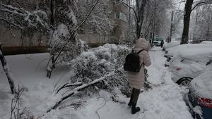 Cod galben de viscol şi vânt puternic în mai multe regiuni din ţară, până miercuri dimineaţa