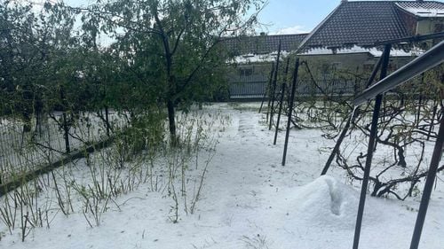 VIDEO Drumurile s-au albit în Neamț: Covor de grindină după furtunile de sâmbătă / "Culturile au fost distruse"