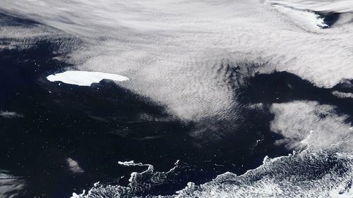 Un aisberg gigantic, pe traiectoria de coliziune cu o insulă din Atlanticul de Sud, unde trăieşte o colonie de pinguini/ Oceanograf: Curenţii din vecinătatea insulei sunt complecşi şi există încă probabilitatea de a rata insula