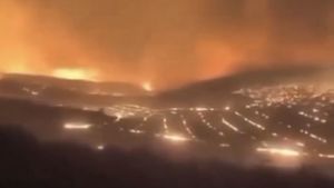 Incendii violente şi dificil de controlat fac ravagii în estul SUA, în statele North şi South Carolina