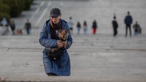 Pericolele la care sunt expuse animalele în perioada sărbătorilor / Câteva sfaturi pentru a le menţine în siguranţă