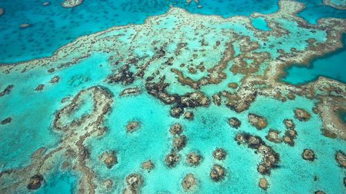 Șeful ONU lansează un „SOS global” privind creşterea rapidă a nivelului Oceanului Pacific