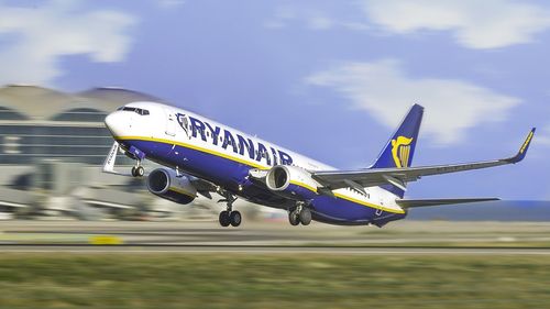Avion oprit la sol timp de două zile, după ce o pisică a intrat în compartimentul electric