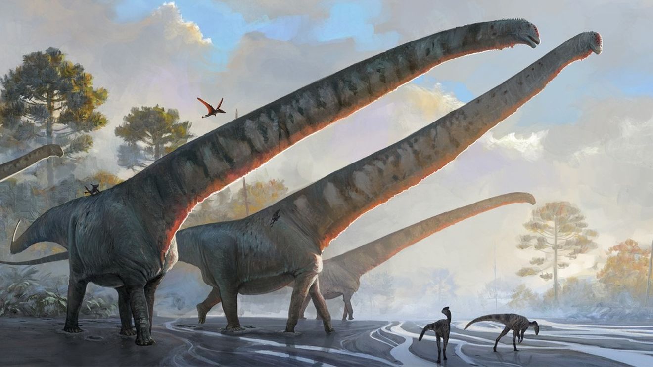 STUDIU Extincţia dinozaurilor a favorizat răspândirea strugurilor