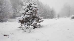 METEO: Vremea se înrăutăţeşte de la noapte / Vântul va sufla cu putere în cea mai mare parte a ţării şi se extind ninsorile / Cod roşu de viscol puternic şi ninsori abundente în zona înaltă a Carpaţilor Meridionali