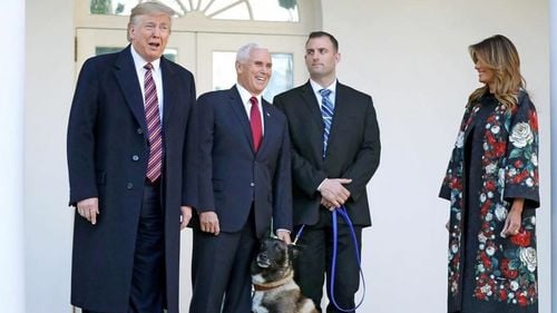 Trump l-a decorat pe Conan, ''câinele incredibil'' care a participat la raidul asupra lui al-Bagdadi