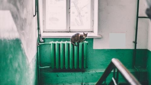 Un atac ucrainean cu drone a lăsat fără lumină și căldură oraşul rus Voronej