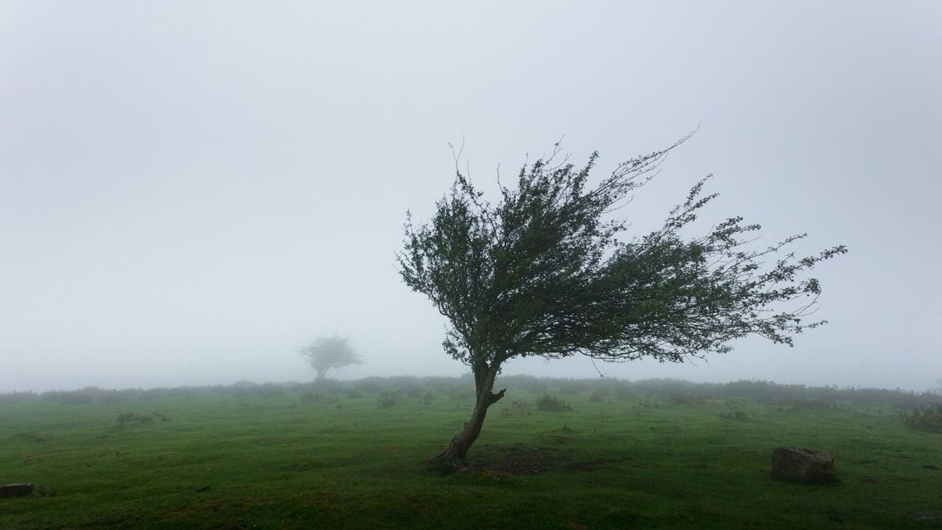 Cod roşu de vijelie, grindină şi descărcări electrice în localităţi din judeţele Arad şi Bihor