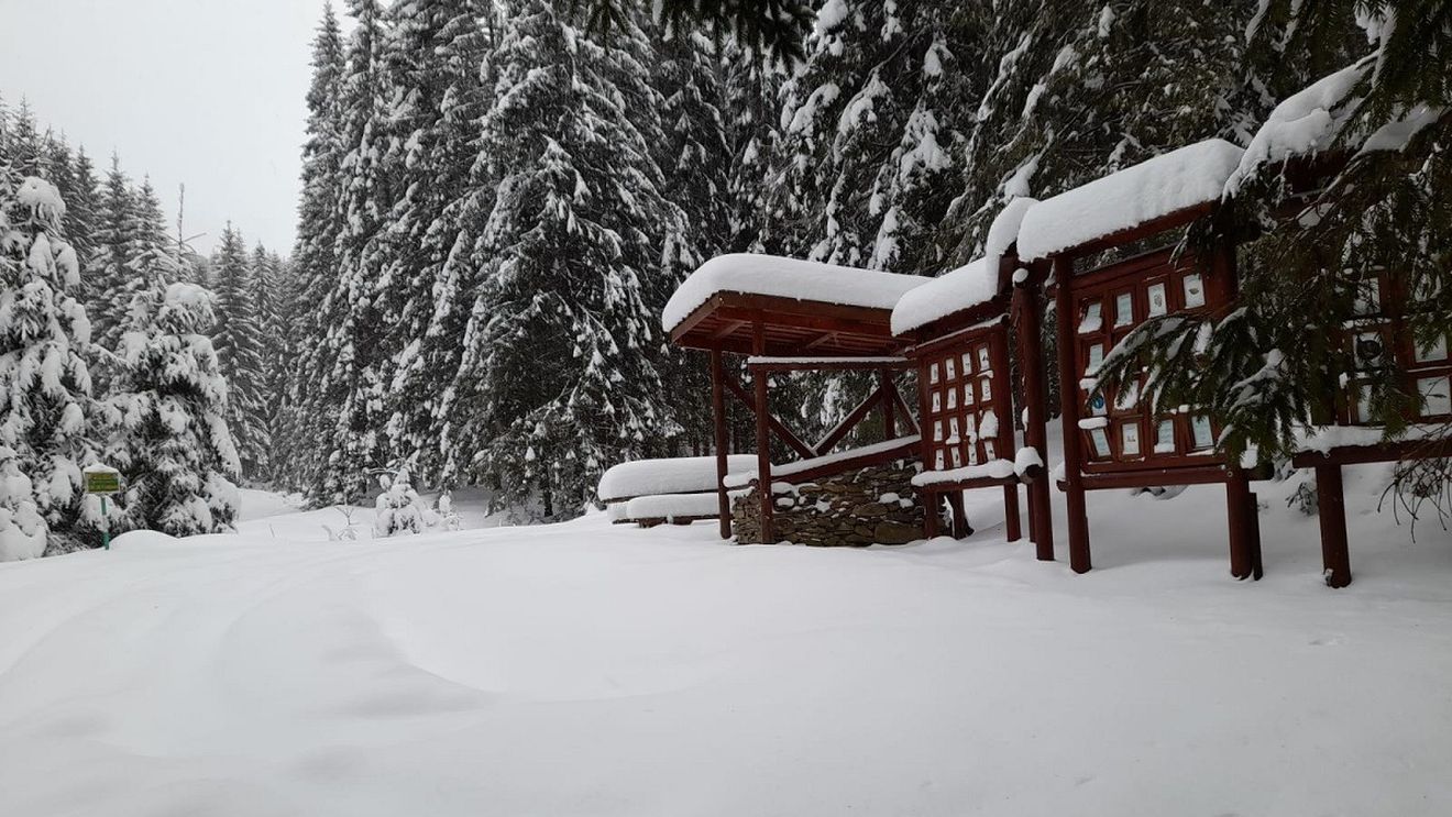 METEO: În această noapte va ninge la munte și se va forma polei în unele zone