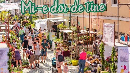 Strada Potaissa din centrul Clujului a devenit "Piaţa de flori altfel"